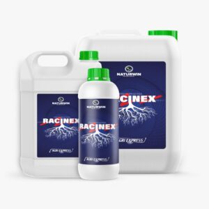 RACINEX