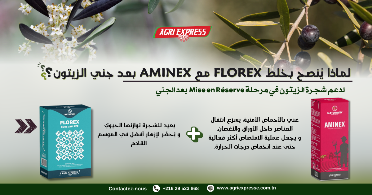 florex+aminex
